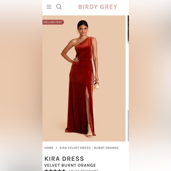 New W/Tag, Sage Green,  Velvet, Kira style Birdy Grey bridesmaid dress - Picture 4 of 5